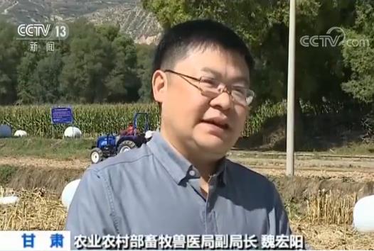“粮改饲”实施五年：农业结构调整让629个县种养效益提升