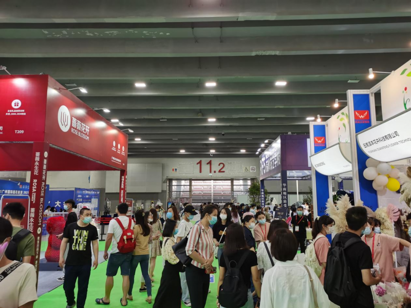 图片6