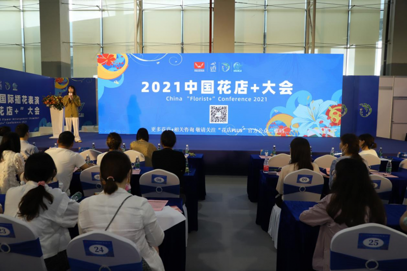 图片7