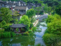 棕榈股份：工笔描绘大美河南
